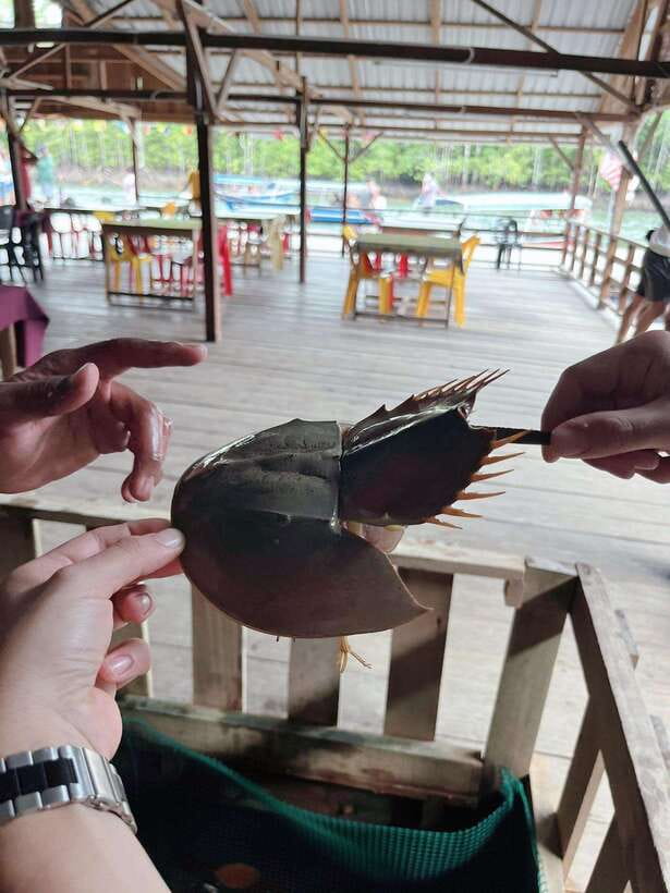 Langkawi: Half-Day Private Kilim River Mangrove Boat Tour - Andaman Sea, Shoes Island, and the photo stops