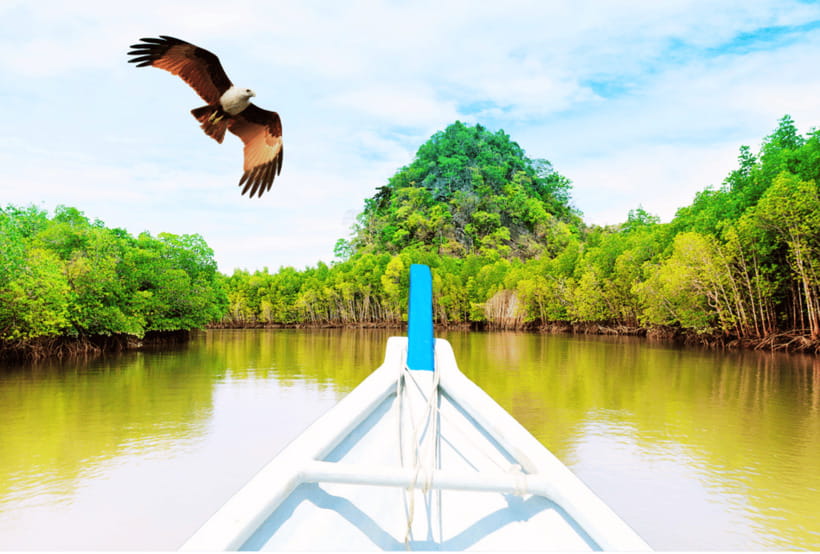 Langkawi: Half- or Full-Day Private Car Tour of Highlights - Drivers, communication, and the human factor