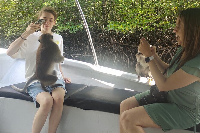 Langkawi Highlights Day Tour - ATV, Mangrove Cruise & Cable Car - What the $233.98 group price really buys