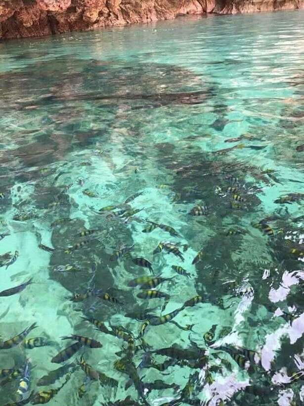 Langkawi Island: Hopping 5 in 1 Grand Tour - Five details that shape the day