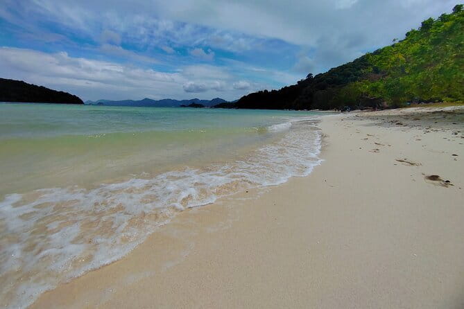 Langkawi Island Hopping Boat Tour - Pulau Singa Besar, wildlife from the water