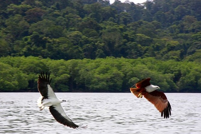 Langkawi Island Hopping Private Boat Tour with Transfer - Why Langkawi’s southern islands are worth your afternoon