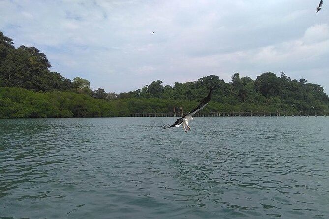 Langkawi Island Hopping Private Boat Tour with Transfer - Dayang Bunting Lake and its mountain outline