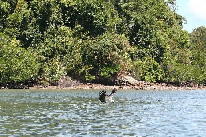 Langkawi Island Hopping Private Boat Tour with Transfer - What the $132.60 price really buys