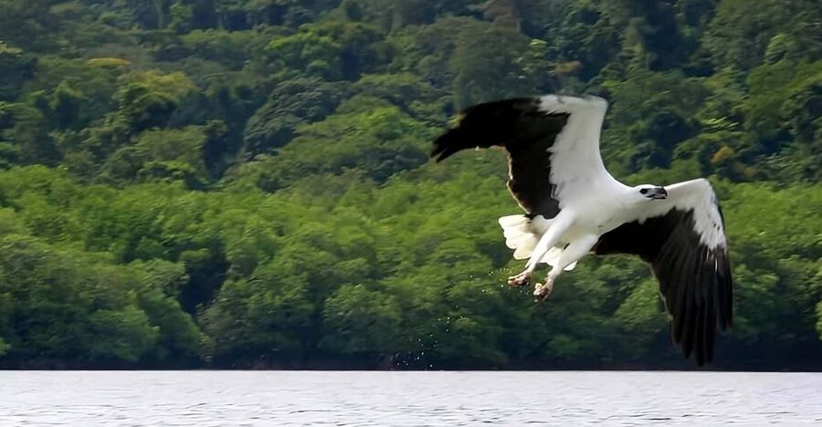 Langkawi: Island Hopping Shared or Private Boat Options - Pregnant Maiden Lake and its local legend