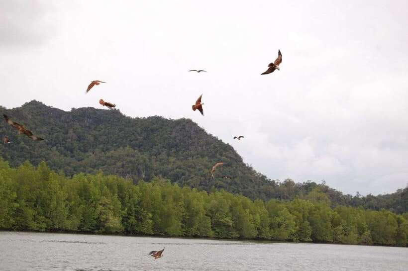 Langkawi: Island Hopping Tour - What to pack for this exact outing