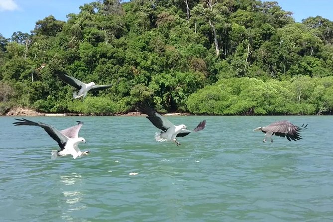 Langkawi Island Hopping Tour with Private Boat & Pickup - Beras Basah Island for a slower final hour