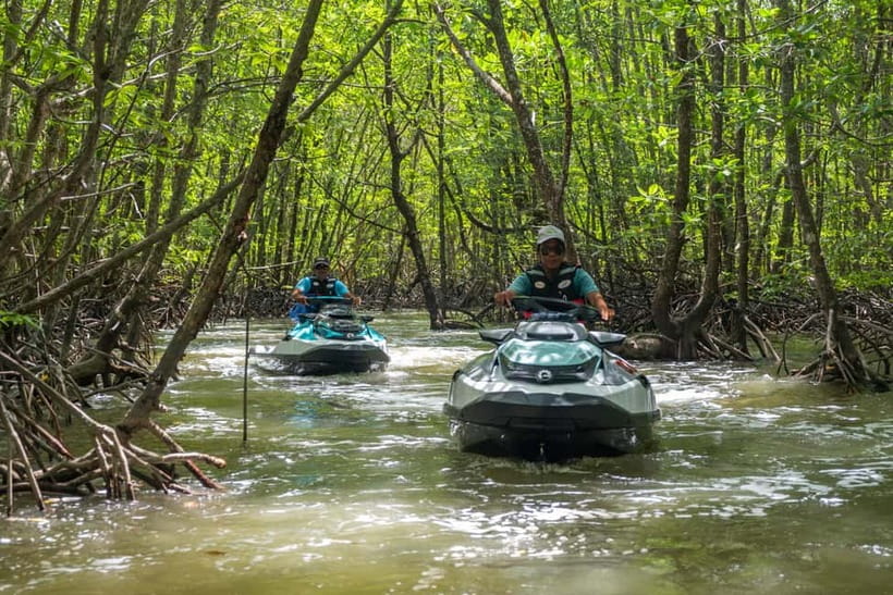 Langkawi: Jet Ski Tour UNESCO Kilim Geopark Free Video - Monkey watching with one important caveat