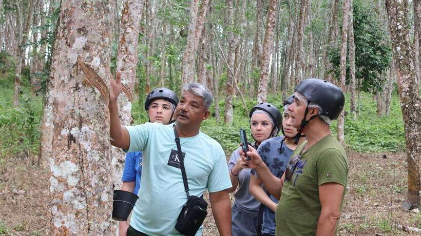 Langkawi Jungle and Waterfall Adventure - Jungle trails bring the real ATV challenge
