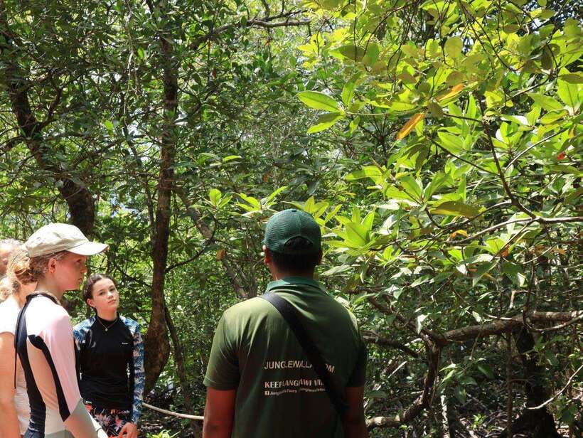 Langkawi: Kayaking Adventure and Swimming - Key points to know before you book