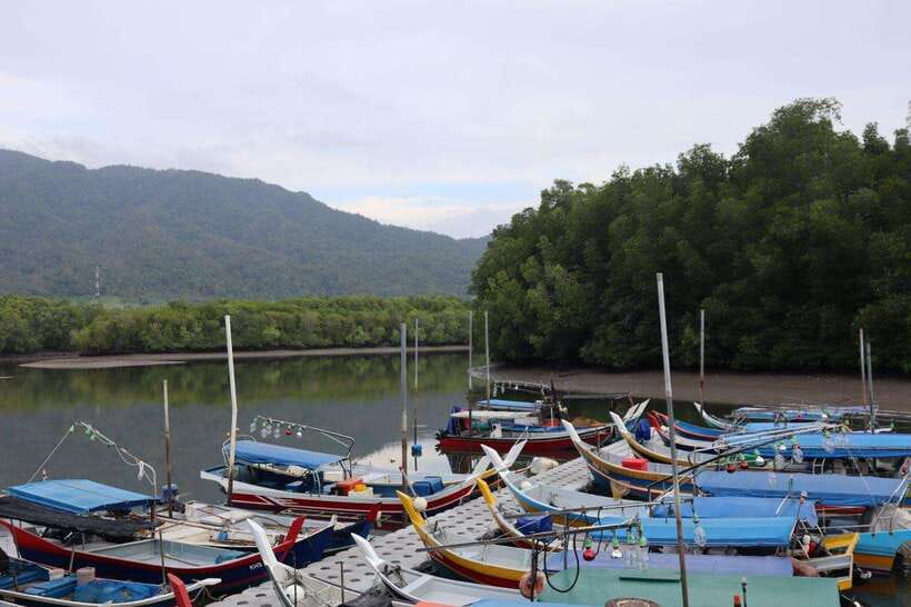 Langkawi: Kayaking Adventure and Swimming - Why the Kubang Badak route works so well
