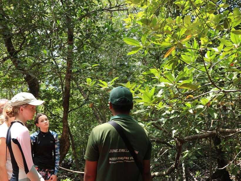Langkawi: Kayaking Adventure and Swimming - What the $48 price really includes