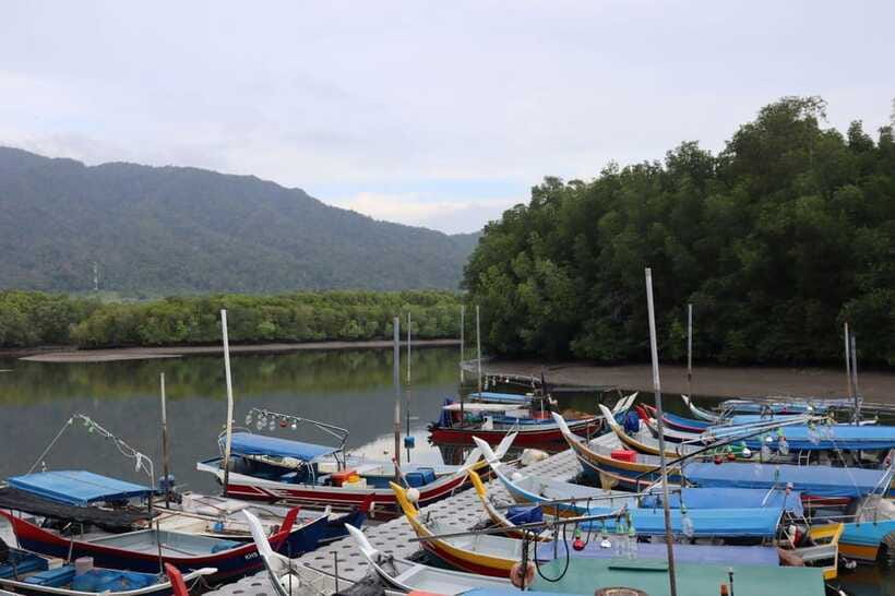 Langkawi: Kayaking Adventure and Swimming - Who will enjoy this experience most