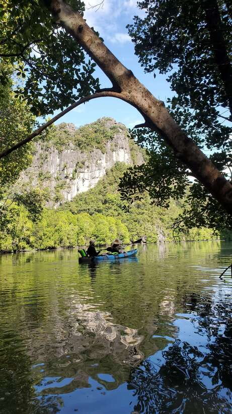 Langkawi : Kilim Geoforest Mangrove Kayak Tour with Lunch - The tour at a glance