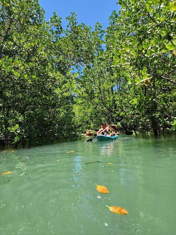 Langkawi : Kilim Geoforest Mangrove Kayak Tour with Lunch - Why the local guides make a difference