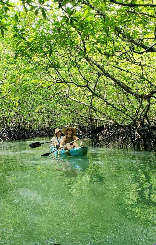 Langkawi : Kilim Geoforest Mangrove Kayak Tour with Lunch - Limestone cliffs and the optional Bat Cave