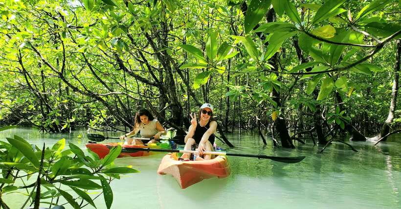 Langkawi : Kilim Geoforest Mangrove Kayak Tour with Lunch - Lunch on the water