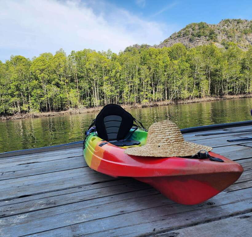 Langkawi : Kilim Geoforest Mangrove Kayak Tour with Lunch - Is $59 good value?