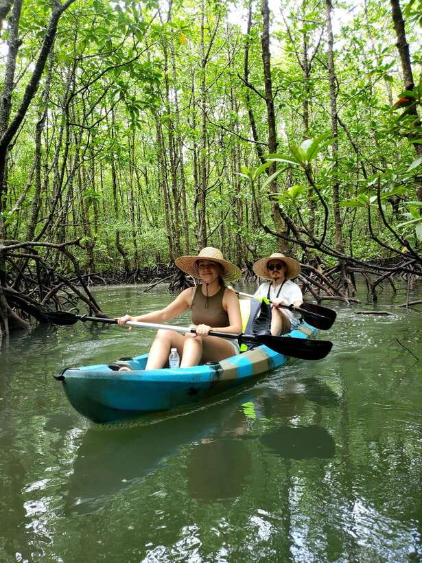 Langkawi : Kilim Geoforest Mangrove Kayak Tour with Lunch - Who should book this Langkawi outing?