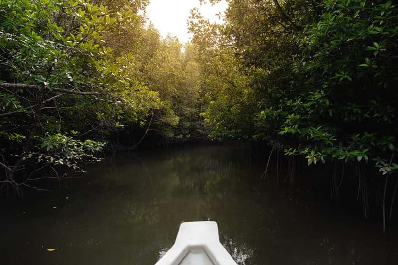 Langkawi: Kilim Geopark Mangrove Tour with Eagle Watching - A pause at the floating restaurant