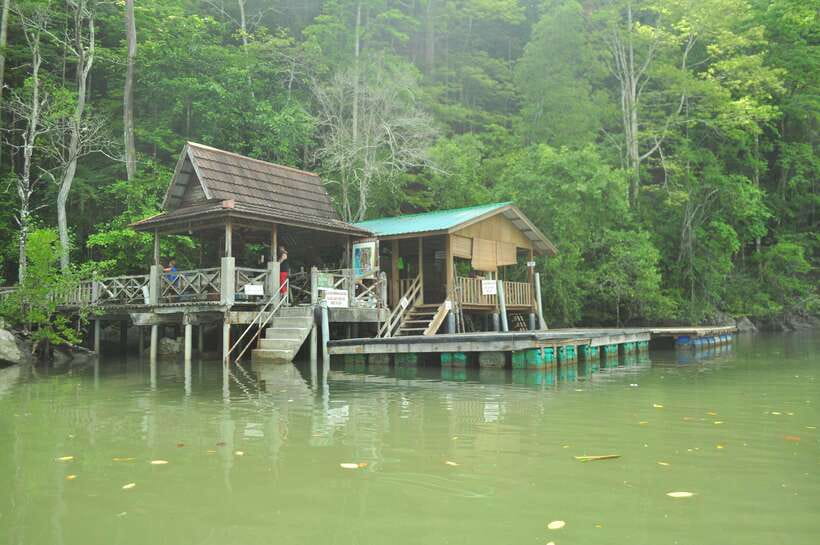 Langkawi: Kilim Mangrove Boat Tour with Lunch and Pickup - Who should book this trip?