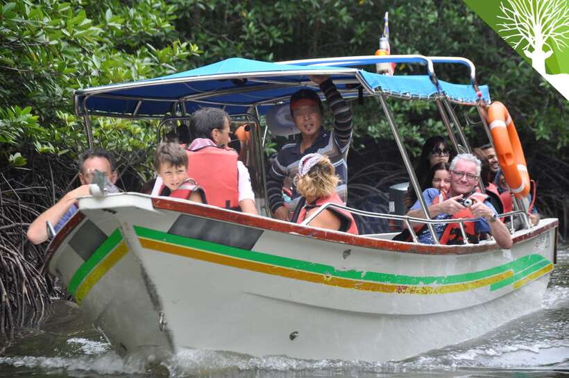 Langkawi: Kilim Mangrove Boat Tour with Lunch and Pickup - Why Kilim’s mangroves are worth your time