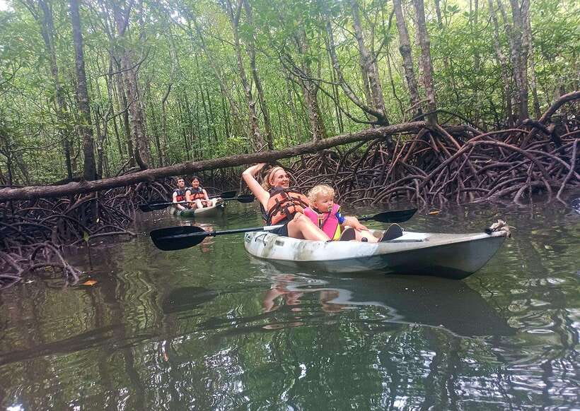 Langkawi: Kilim River Mangrove Safari Kayaking Tour - Who should choose this tour?