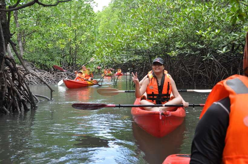 Langkawi: Kilim River Mangrove Safari Kayaking Tour - Guides make the difference