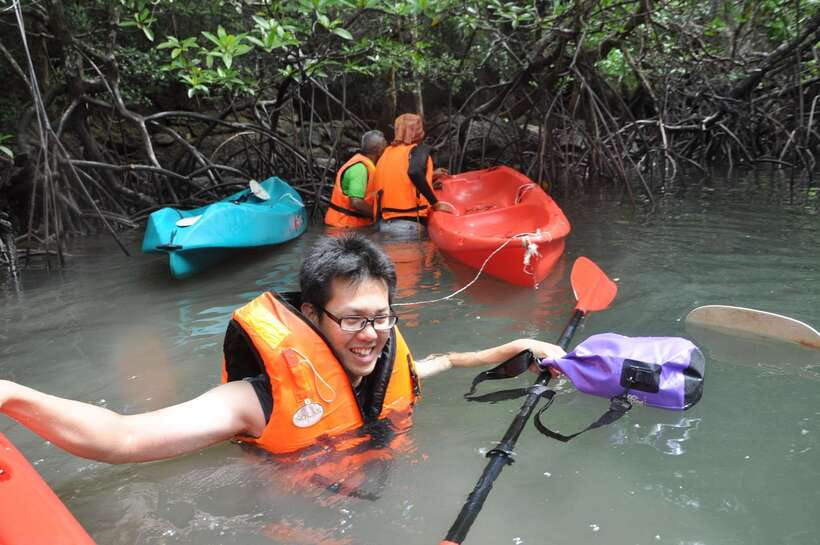 Langkawi: Kilim River Mangrove Safari Kayaking Tour - Is $71 good value?