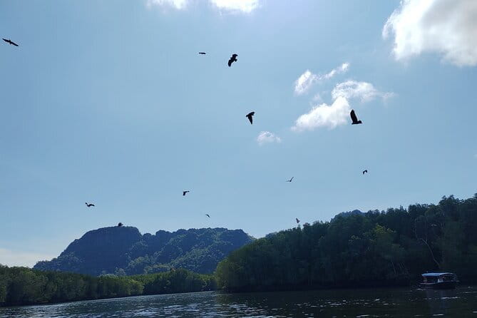 Langkawi Mangrove Boat Tour at Kilim Geoforest Park - Why Kilim Geoforest Park is worth your morning