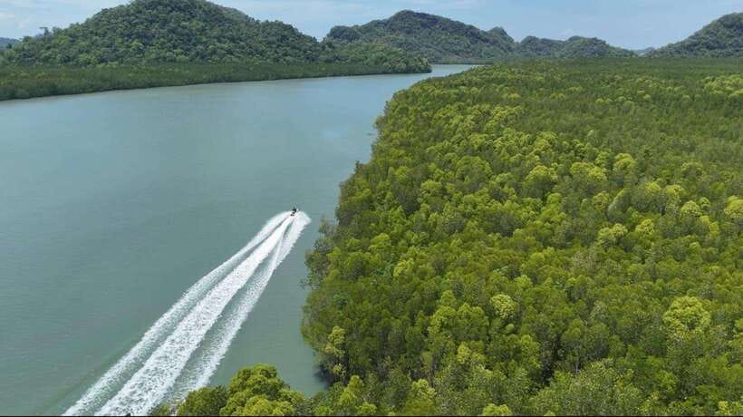 Langkawi: Mangrove Jet Ski Tour with Drone Video - What the drone video adds