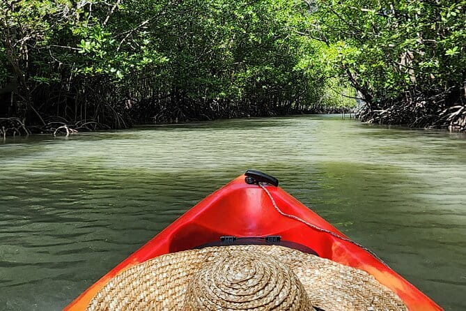 Langkawi Mangrove Kayak Tour by Sham - Why Langkawi’s mangroves work so well by kayak
