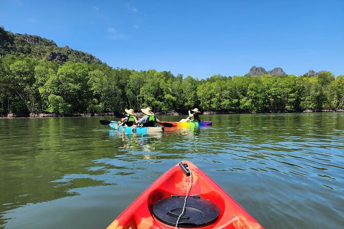 Langkawi Mangrove Kayak Tour by Sham - The boat ride and first look at the forest