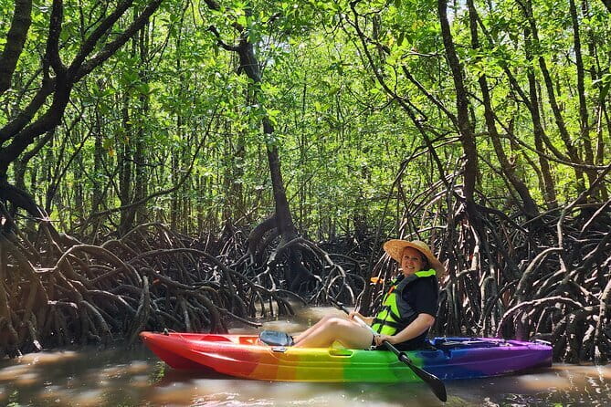 Langkawi Mangrove Kayak Tour by Sham - Starting at Kilim River Tourism Jetty