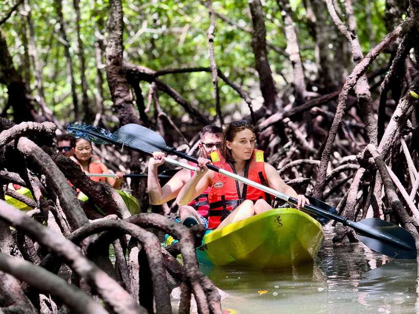 Langkawi: Mangrove Kayaking by Farly - Why Kayaking Works So Well in Kilim Geoforest Park