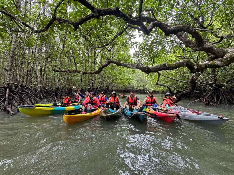 Langkawi: Mangrove Kayaking by Farly - The Ten-Minute Speedboat Ride