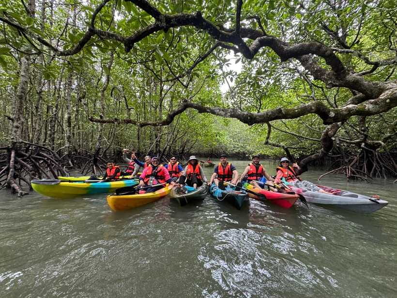 Langkawi: Mangrove Kayaking by Farly - Wildlife Watching: Eagles, Otters, Snakes, and Crabs