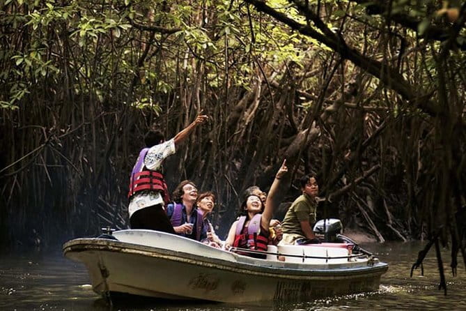 Langkawi Mangrove Kilim UNESCO Geopark and Cave Exploring Tour - Fish farm, floating tanks, and tame stingrays