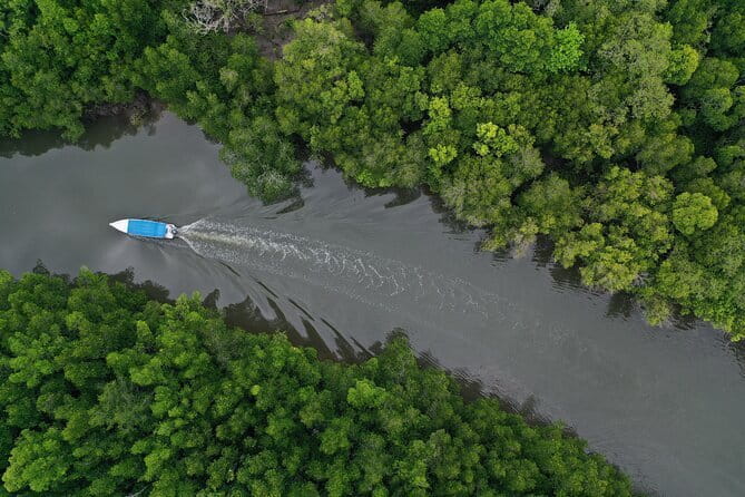 Langkawi Mangrove Kilim UNESCO Geopark and Cave Exploring Tour - What the three-hour format means for your day