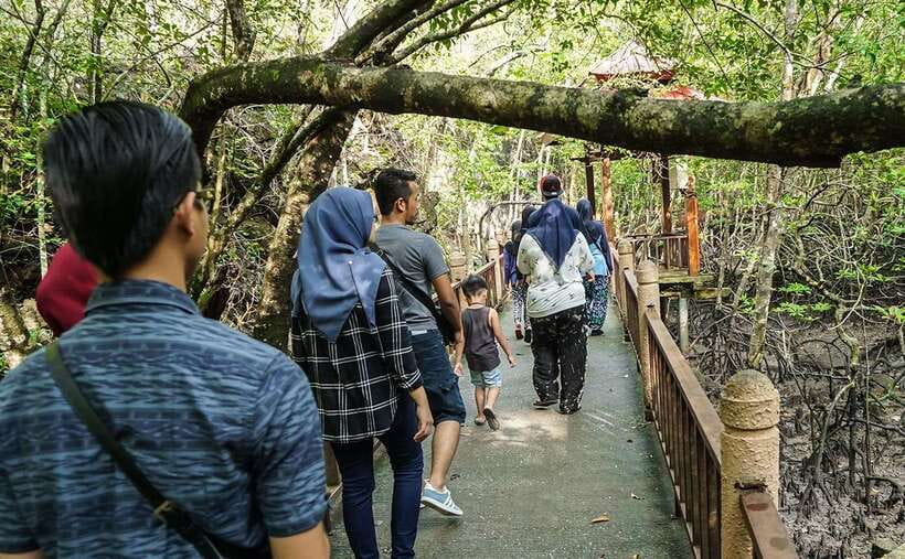 Langkawi: Mangrove Kilim UNESCO Geopark & Cave Tour - Guides, boats, and the quality of the day