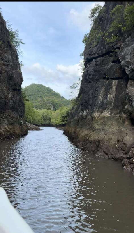 Langkawi Mangrove Monkey Package - Eagle watching and the feeding session