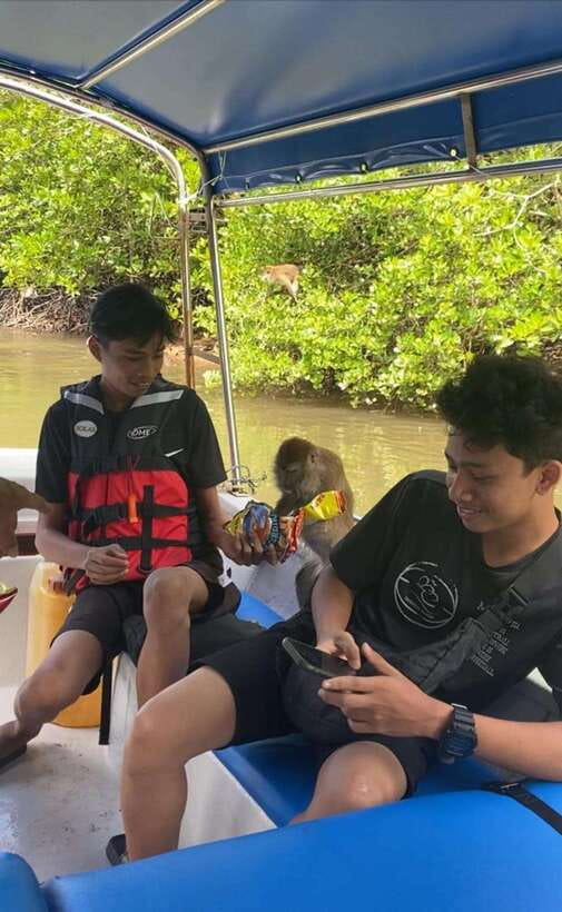 Langkawi Mangrove Monkey Package - Exploring Crocodile Cave and Bat Cave