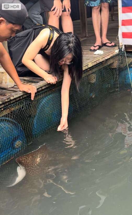 Langkawi Mangrove Monkey Package - The floating fish farm and the one-hour question