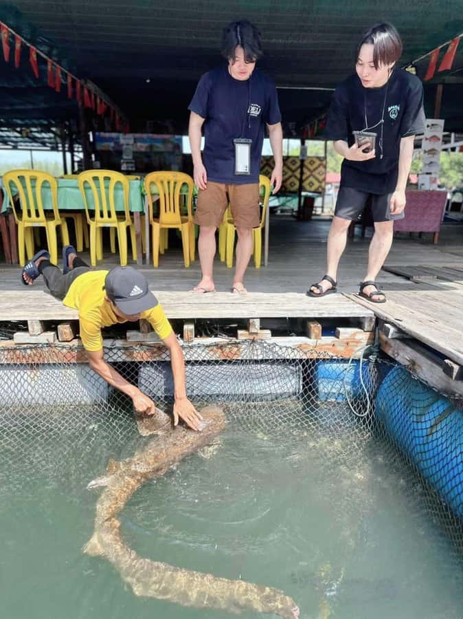 Langkawi Mangrove : Sharing Boat 3Hour estimated (lunch) - Fish feeding and the floating restaurant