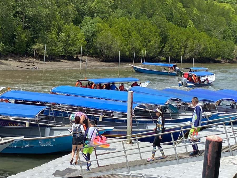 Langkawi Mangrove Tour : Estimated 1 hour Lunch Available - Key points to know before booking