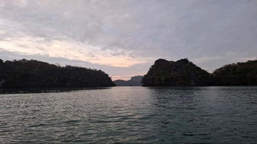 Langkawi Mangrove Tour : Estimated 1 hour Lunch Available - Mangrove scenery rewards a slower gaze