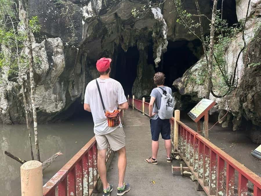 Langkawi Mangrove Tour : Estimated 1 hour Lunch Available - Gua Kelawar brings you under the mangrove cliffs
