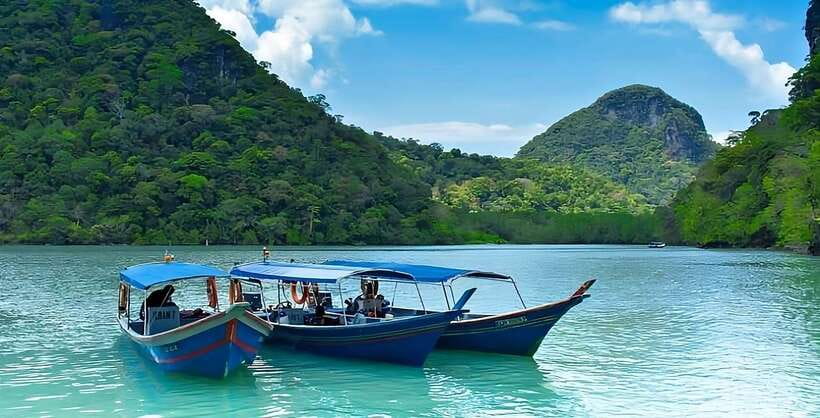 Langkawi: Mangrove Tour with Kilim Geoforest Park & Bat Cave - What this Langkawi boat tour is really about