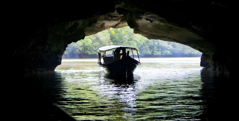 Langkawi: Mangrove Tour with Kilim Geoforest Park & Bat Cave - Monkeys, mangrove channels, and a practical warning