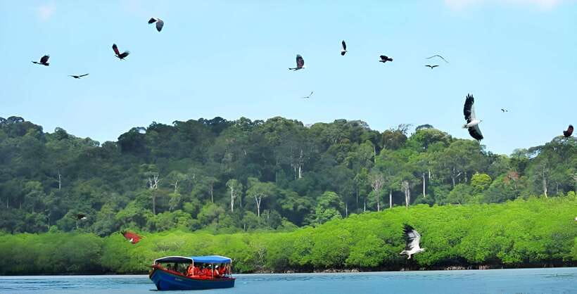 Langkawi: Mangrove Tour with Kilim Geoforest Park & Bat Cave - The open Andaman Sea and Tanjung Rhu views